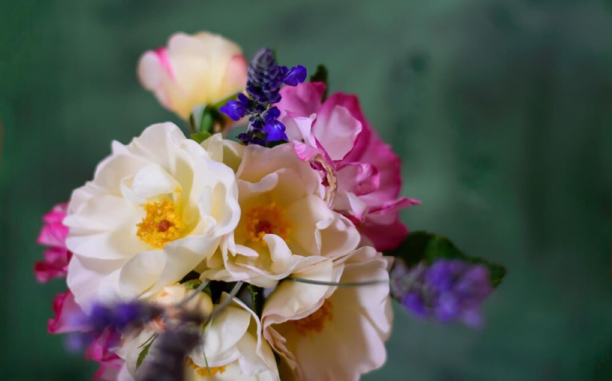 Artarmon Flowers: Stunning Bouquets for Every Occasion