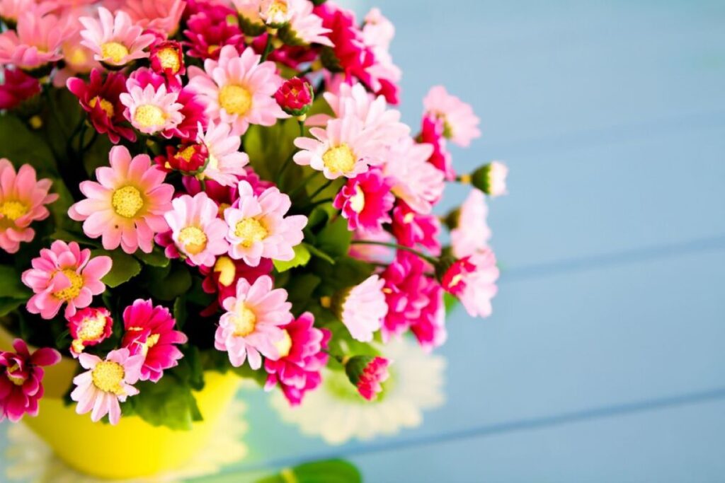 flowers artarmon