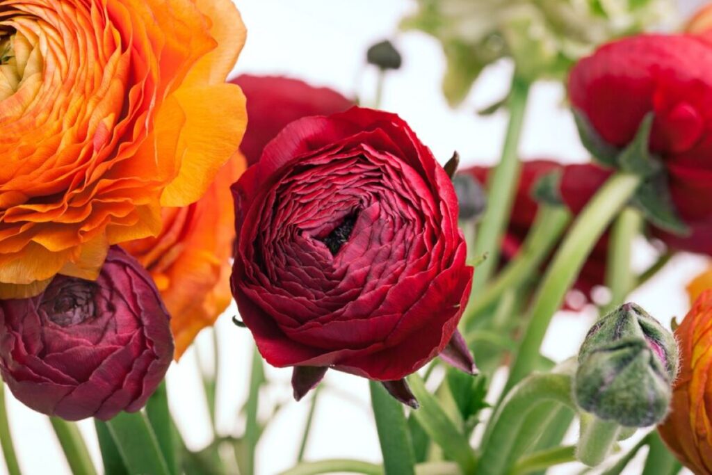 flower delivery artarmon