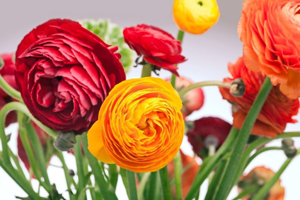 flower delivery artarmon