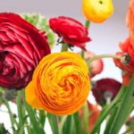 Beyond Roses: Sydney’s Most Creative Flower Delivery Ideas