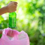 Efficient Green Waste Removal Services in Sydney Explained