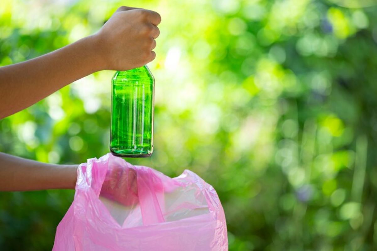 green waste removal service