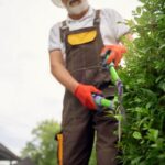 Residential Hedge Trimming: Keep Your Garden Looking Sharp