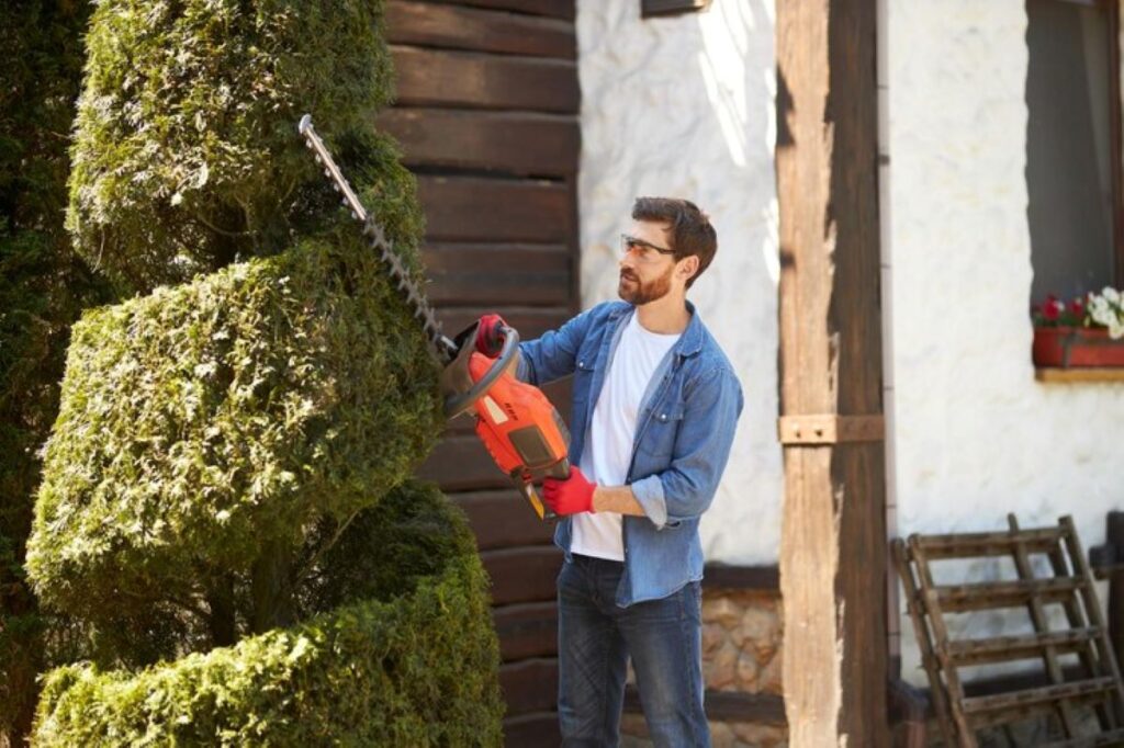 free hedge trimming estimate